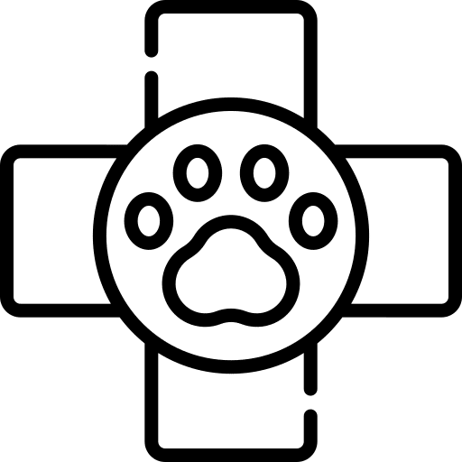 023 veterinary