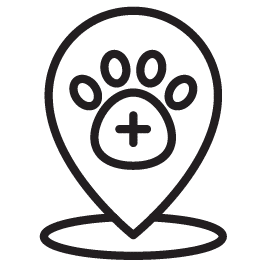 Veterinary 03