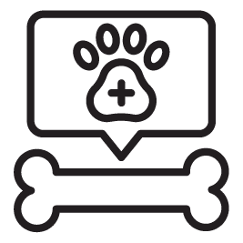 Veterinary 13